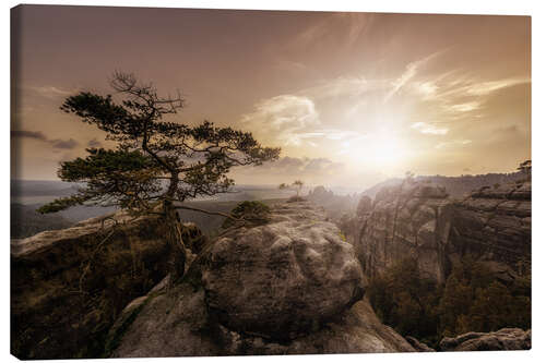 Canvas print Sächsische Schweiz - Elbsandsteingebirge Sunset