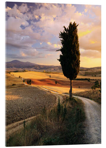 Tableau en verre acrylique Soirée dans le Val d'Orcia, Toscane