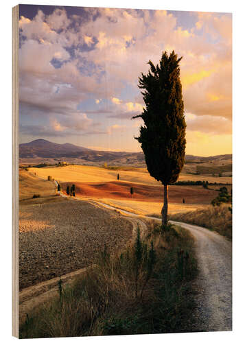 Cuadro de madera Tarde en Val d'Orcia, Toscana