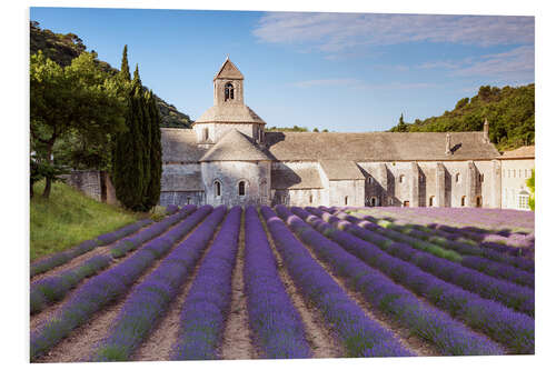 PVC print Senanque abbey, Provence