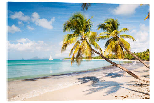 Acrylic print Les Salines beach, Martinique