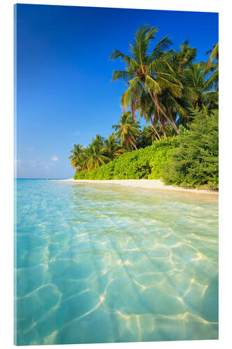 Obraz na szkle akrylowym Dream beach in the Maldives