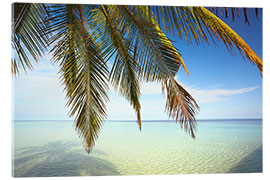 Acrylic print Palm tree and ocean, Maldives