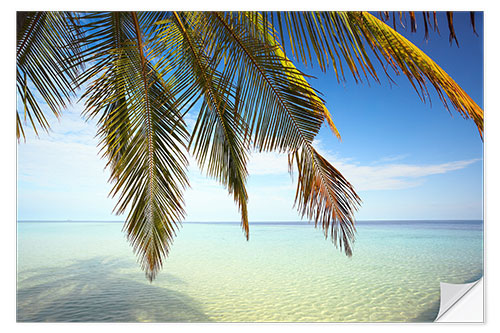 Selvklebende plakat Palm tree and ocean, Maldives