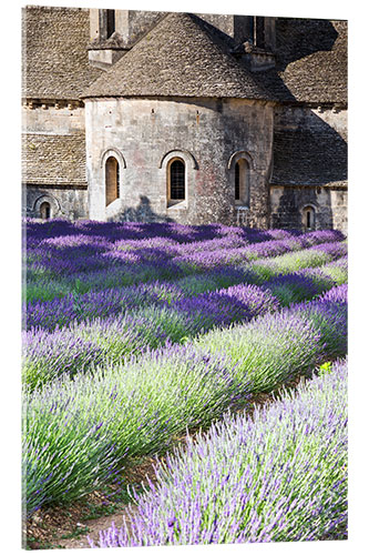 Acrylic print Senanque abbey and lavender, Provence