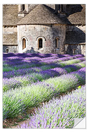 Sticker mural Abbaye Notre-Dame de Sénanque et lavande en Provence