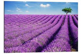 Magnettafel Lavendelfeld und Baum