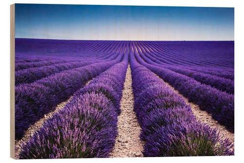 Wood print Lavender field in Provence