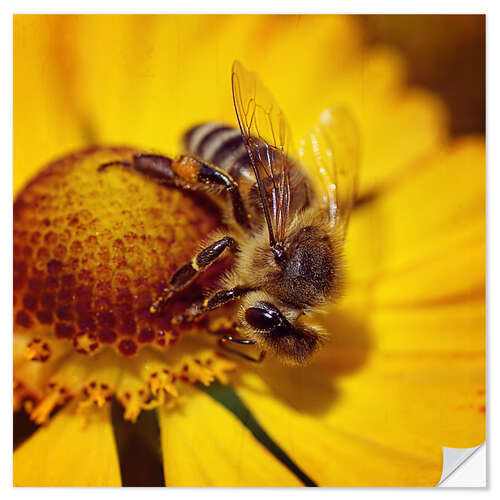 Vinilo para la pared Flowers carousel for bees