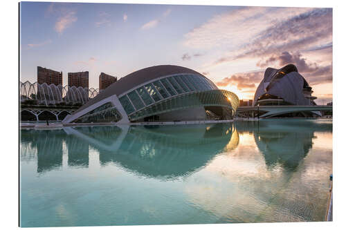 Galleriprint City of Arts and sciences, Valencia, Spain