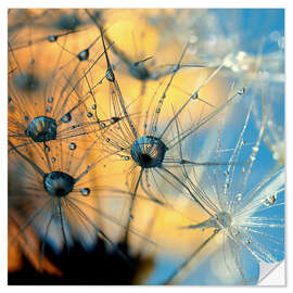 Wall sticker Dandelion with dew