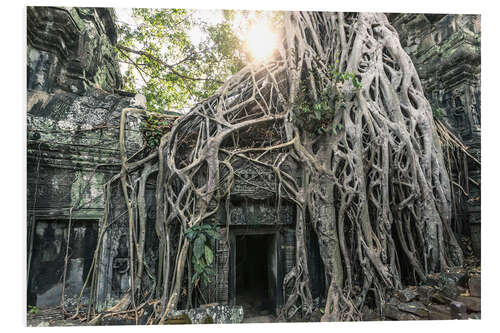 PVC-tavla Famous Tomb Raider temple, Angkor, Cambodia