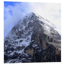 PVC print Eiger North Face