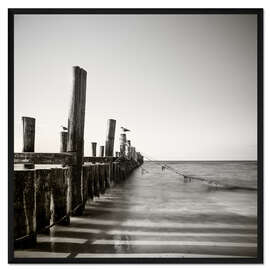 Gerahmter Kunstdruck möwen / II