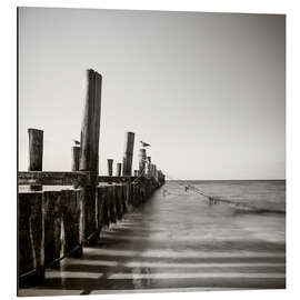 Magnettafel möwen / II