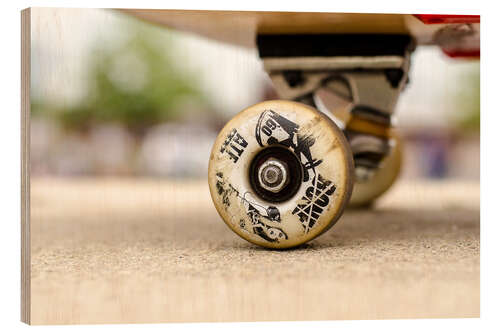 Stampa su legno Skateboard freedom I - coloured