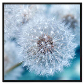 Gerahmter Kunstdruck Pusteblume