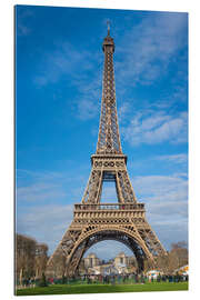 Stampa su plexi-alluminio The Eiffel Tower of Paris