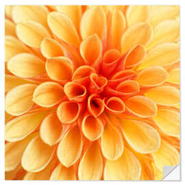 Autocolante decorativo Yellow Dahlia