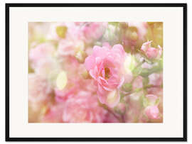 Gerahmter Kunstdruck Romantische Rose