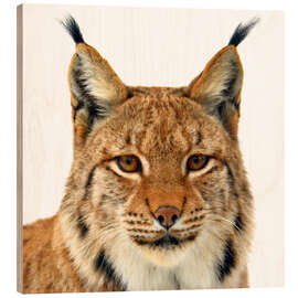 Wood print lynx - portrait