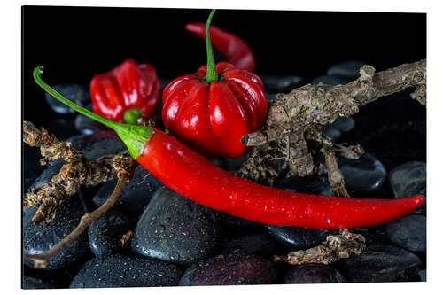 Aluminium print Chili & Habaneros - only red