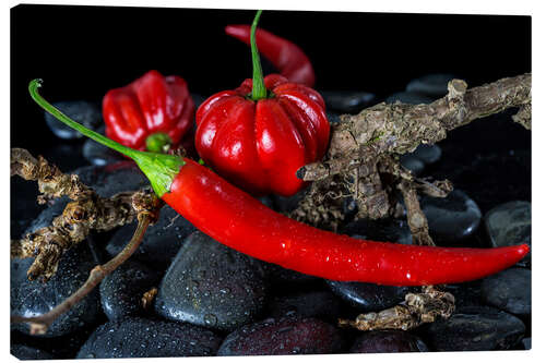 Canvas print Chili & Habaneros - only red