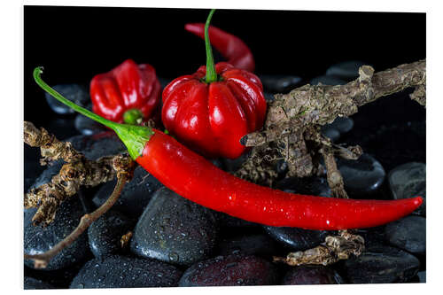 Stampa su PVC Chili & Habaneros - only red