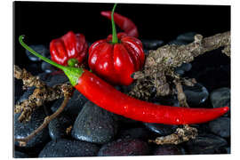 Gallery print Chili &amp; Habaneros - only red