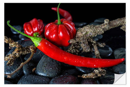 Selvklebende plakat Chili & Habaneros - only red