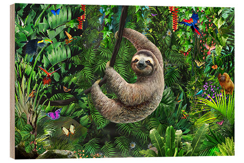 Trebilde Sloth in the jungle