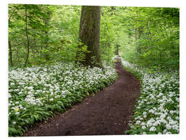 Foam board print Path through the Forest full of Wild Garlic