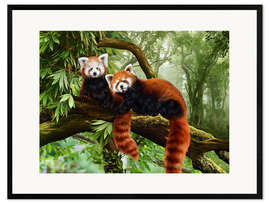 Impressão artística com moldura Red Pandas