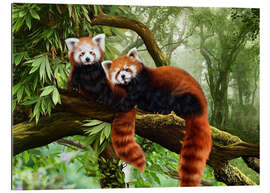 Gallery print Red Pandas