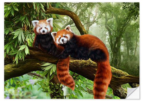 Vinilo para la pared Red Pandas