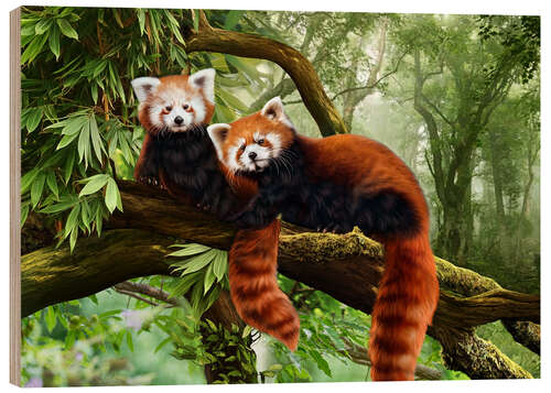 Stampa su legno Red Pandas