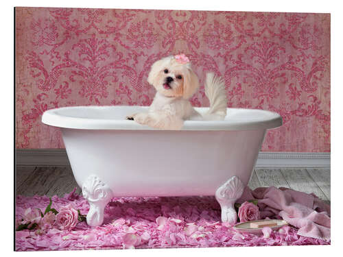 Obraz na aluminium Pink Bath