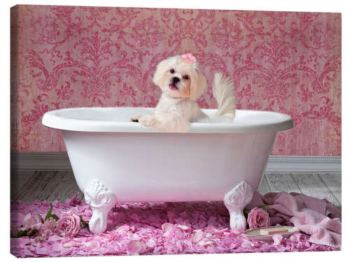 Lerretsbilde Pink Bath