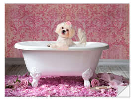 Selvklebende plakat Pink Bath