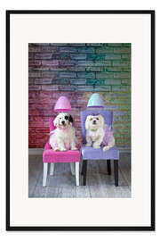 Gerahmter Kunstdruck Hunde unterm Haartrockner