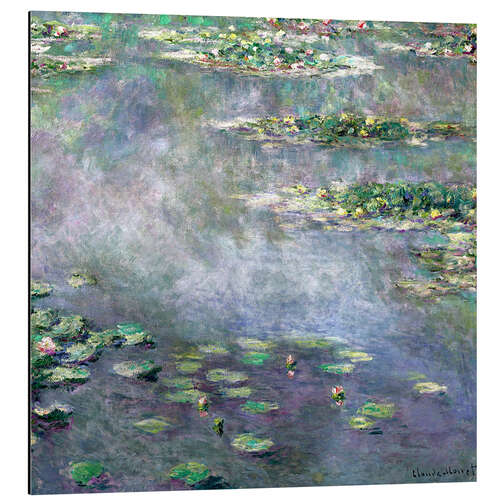 Aluminiumsbilde Water Lilies VIII