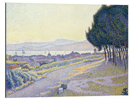 Magnettafel Pinienwäldchen über Saint-Tropez