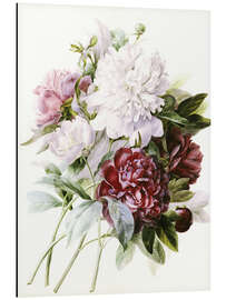 Magnettafel Pfingstrosen