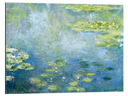 Aluminium print Water-Lily Pond I