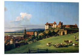 Foam board print View of Pirna