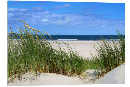 Gallery Print Dünenblick auf das Meer