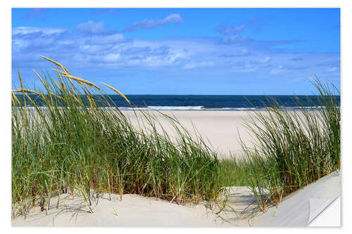 Naklejka na ścianę Dune view of the sea