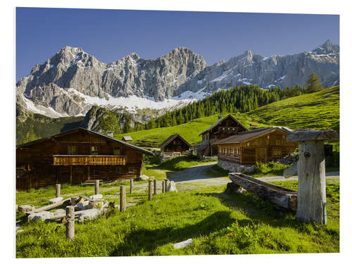 Foam board print Alpine Pasture I