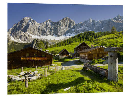 Galleritryck Alpine Pasture I