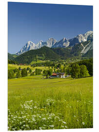 Foam board print Alpine Meadow